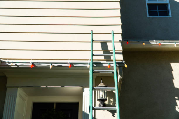 Best Steel Siding Installation  in Baldwin, MI