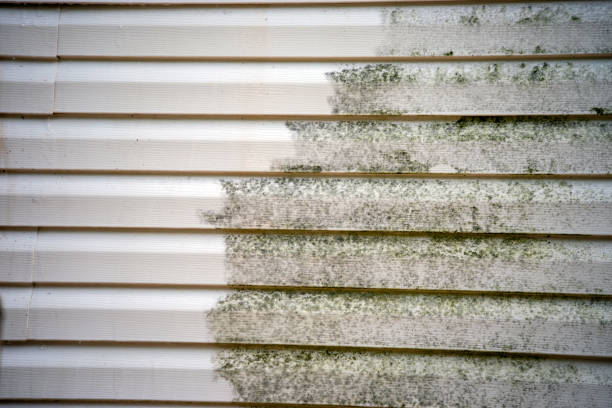 Best Siding for New Construction  in Baldwin, MI