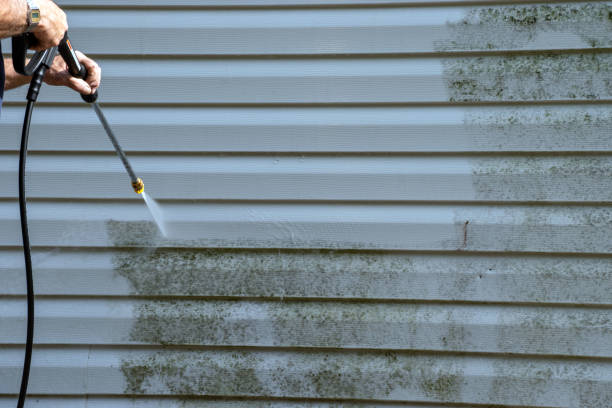 Best Historical Building Siding Restoration  in Baldwin, MI