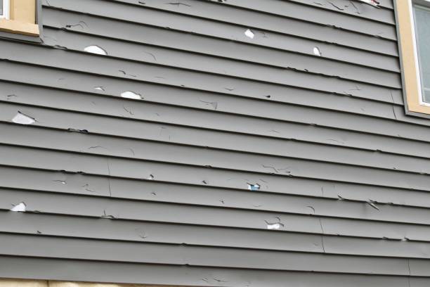 Best Stone Veneer Siding  in Baldwin, MI