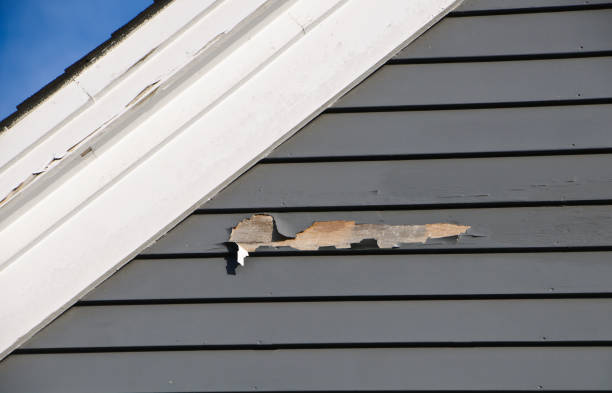 Best James Hardie Siding  in Baldwin, MI