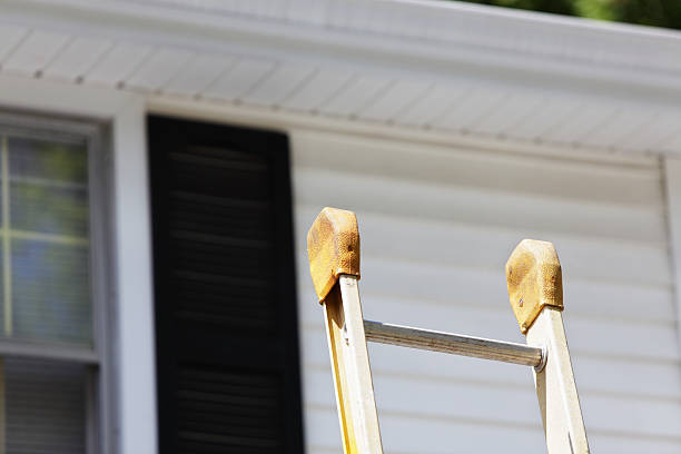 Best Aluminum Siding Installation  in Baldwin, MI