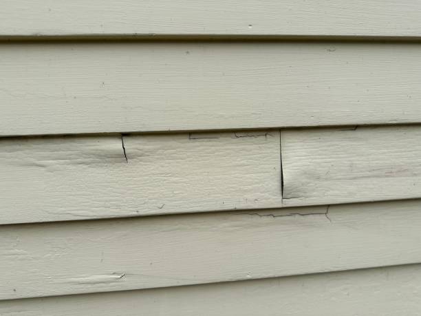 Best Insulated Siding Installation  in Baldwin, MI